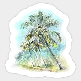 Biyyam backwater lake and Coconut Trees - Kerala. Sticker